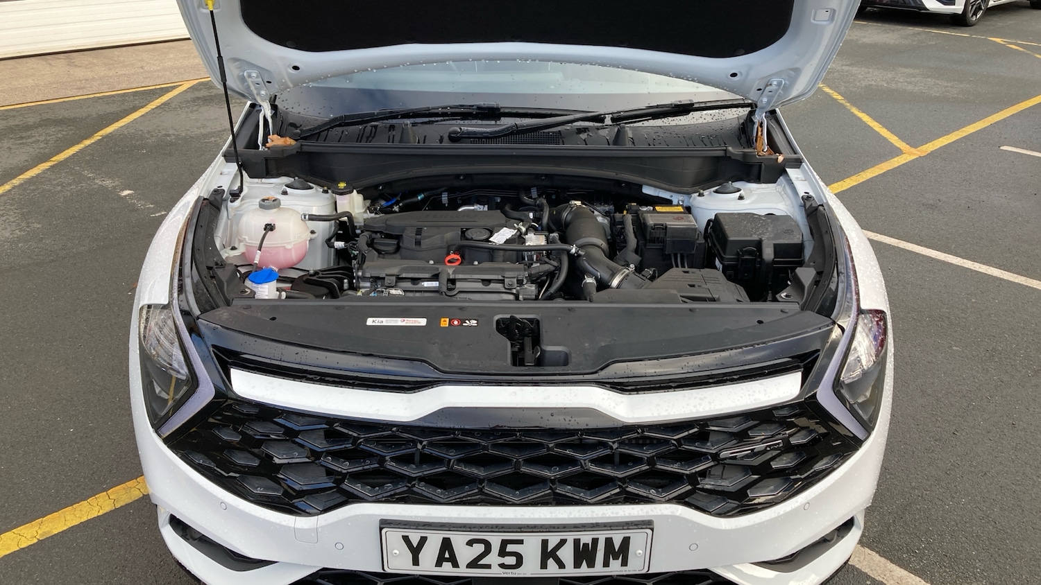 Used Kia Sportage 2025 for sale - 76532077: Photo 8