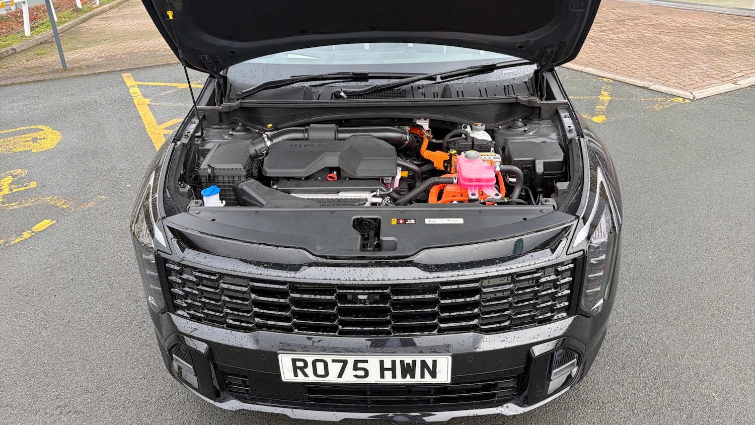 Used Kia Sportage 2025 for sale - 78166091: Photo 8