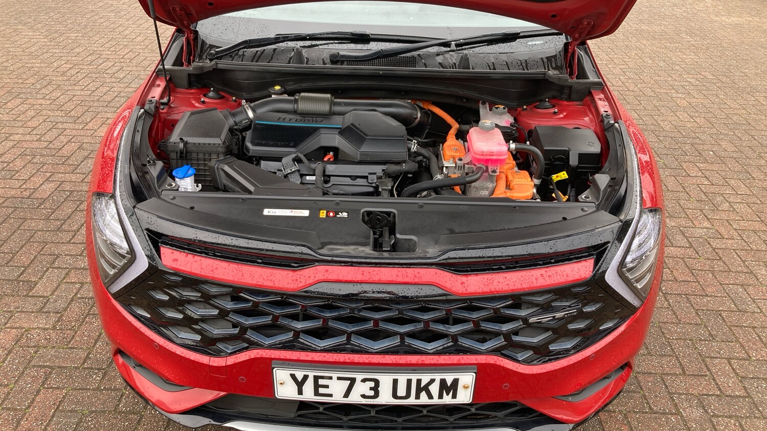 Used Kia Sportage 2023 for sale - 78223136: Photo 8