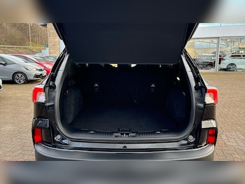 Used Ford Kuga 2022 for sale - 77035700: Photo