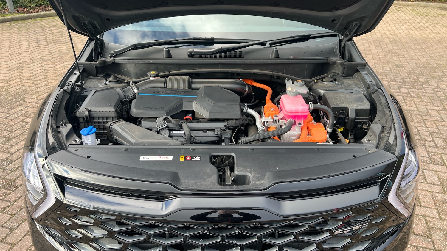 Used Kia Sportage 2025 for sale - 76497179: Photo 8