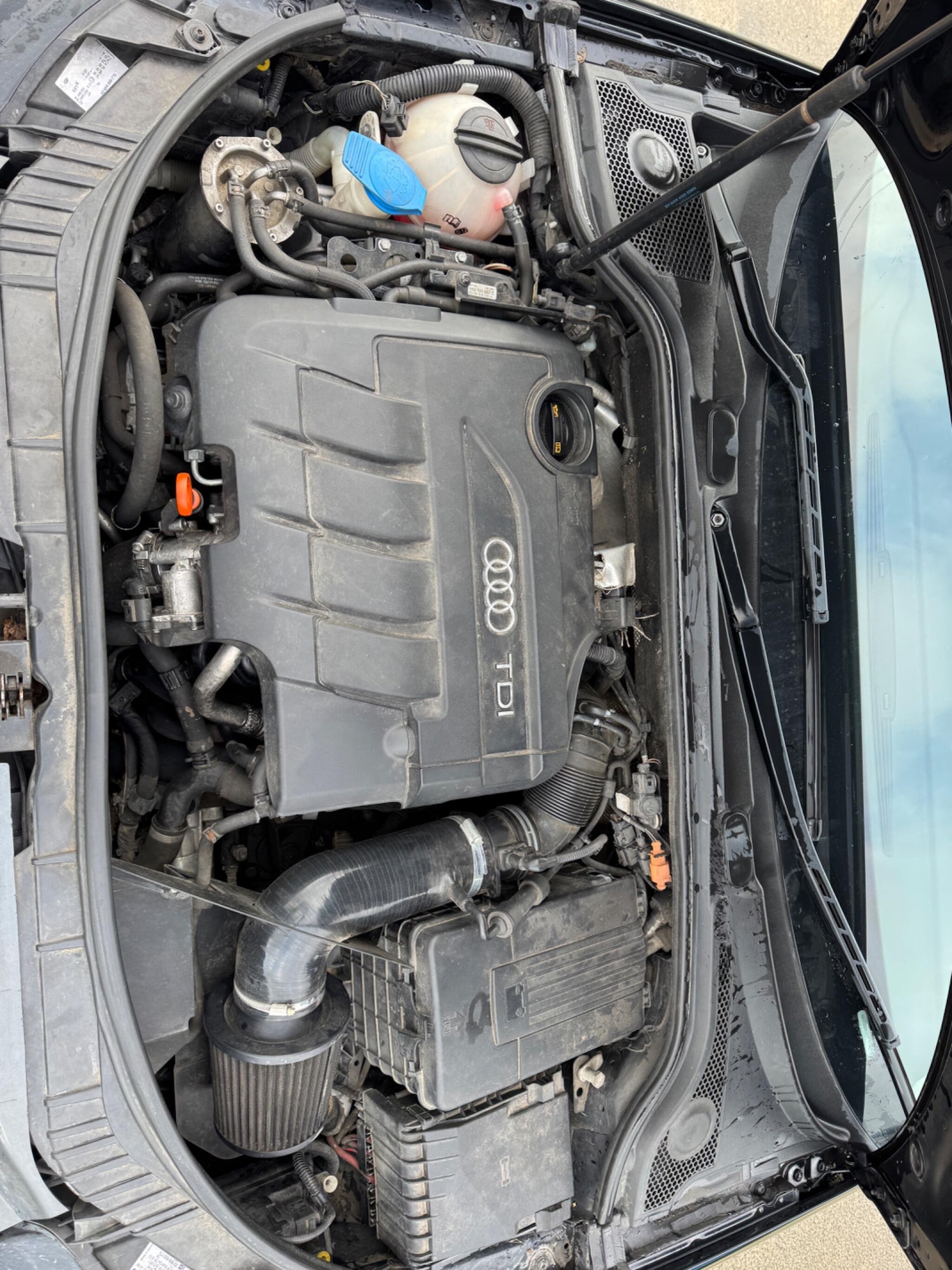 Used Audi A3 for sale - 77496345: Photo 16