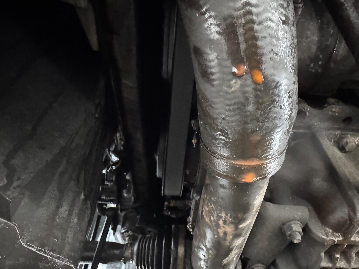 Used Ford Focus 2011 for sale - 77330646: Photo 11