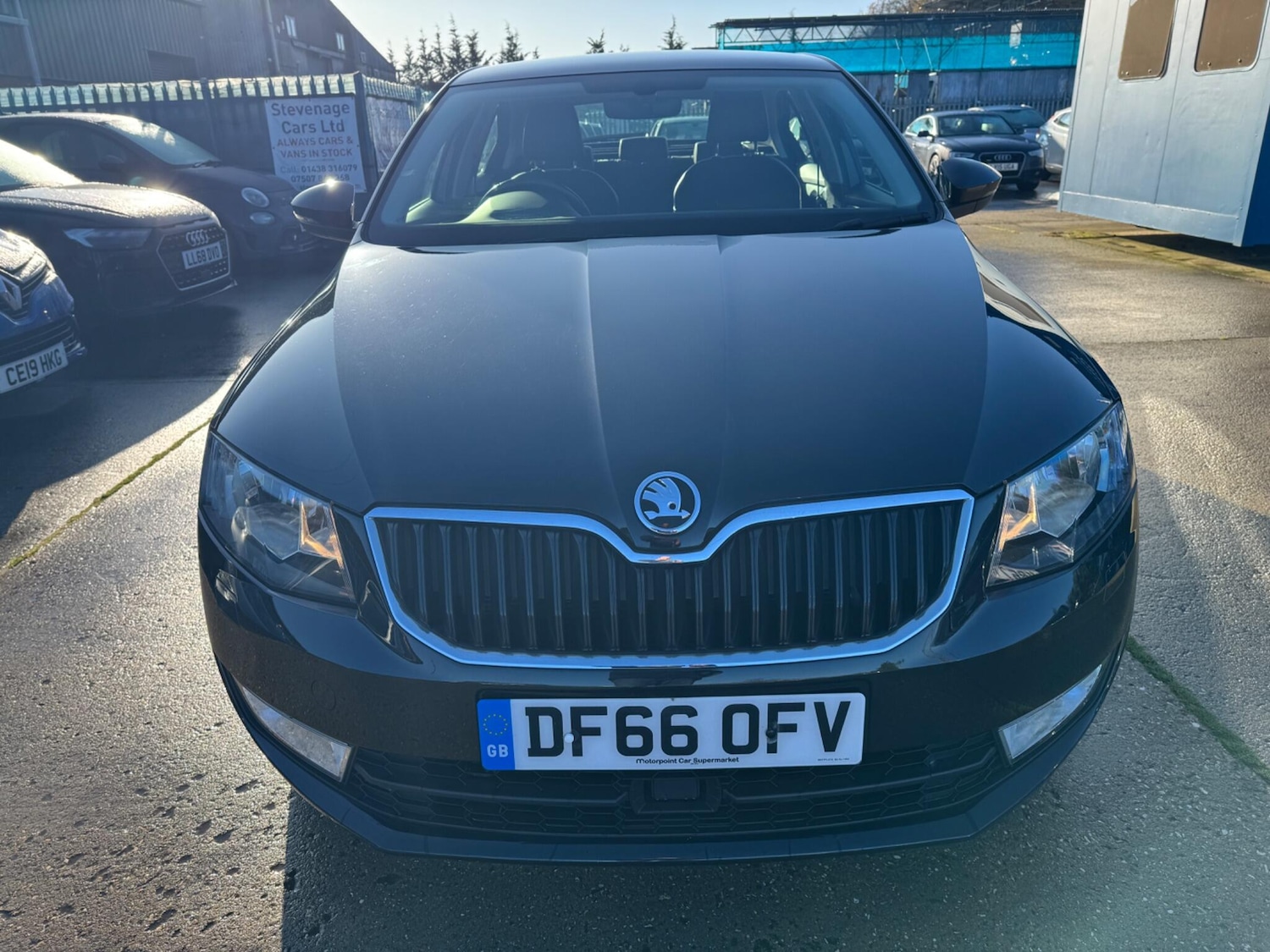 Used Skoda Octavia 2016 for sale - 76801285: Photo 3