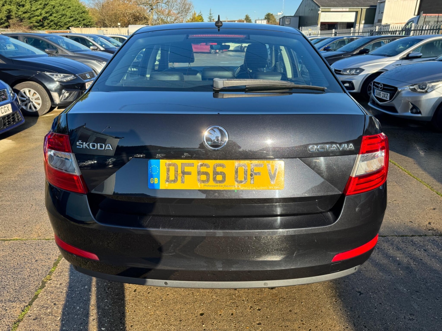 Used Skoda Octavia 2016 for sale - 76801285: Photo 7