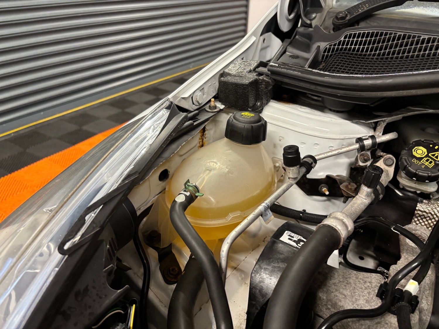 Used Renault Clio 2016 for sale - 77167992: Photo 26