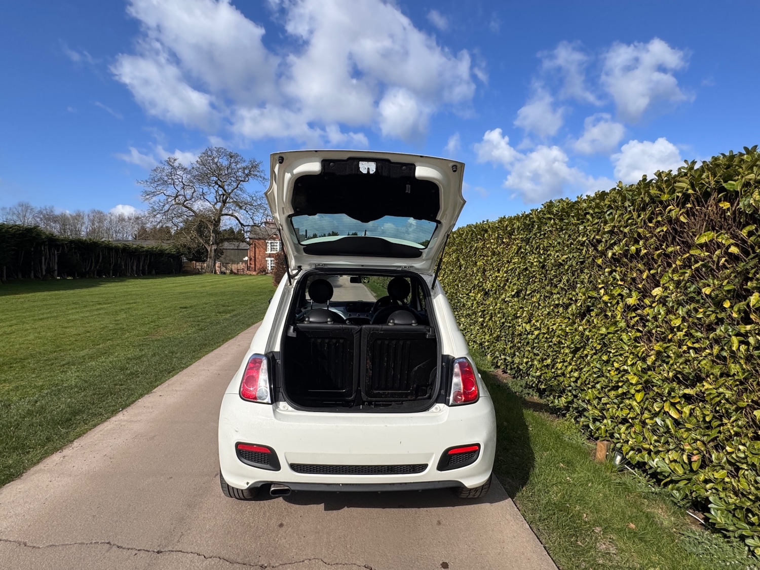 Used Fiat 500 2014 for sale - 77888977: Photo 9