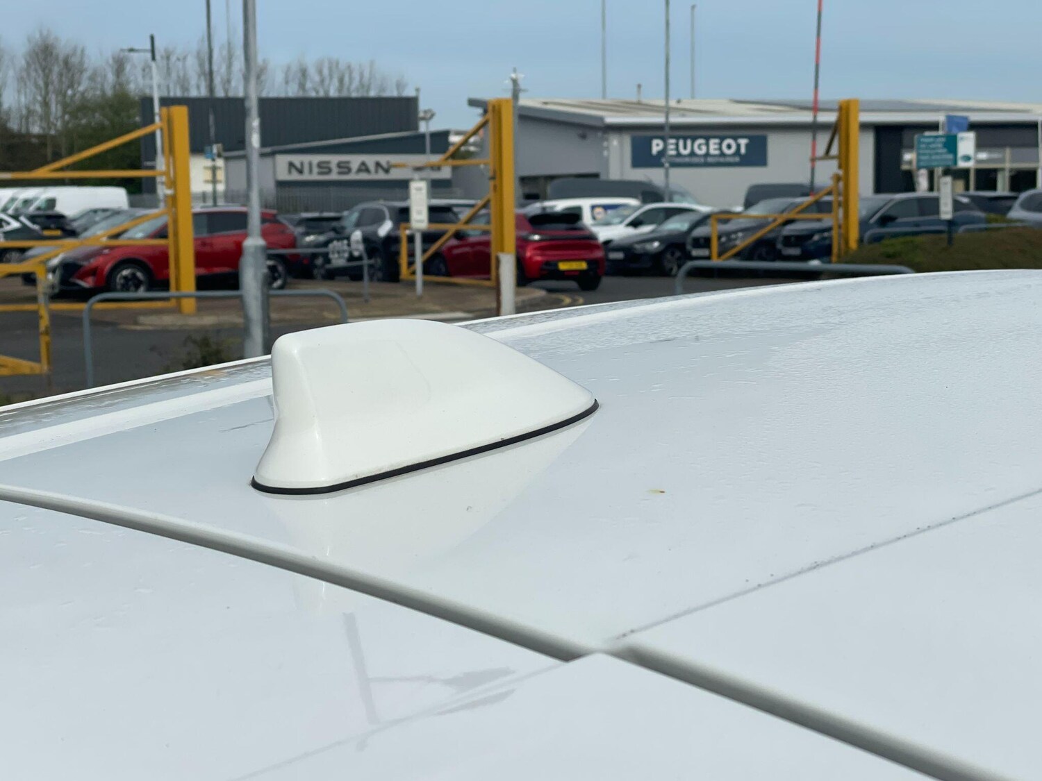 Used Toyota C-HR for sale - 78220275: Photo 12