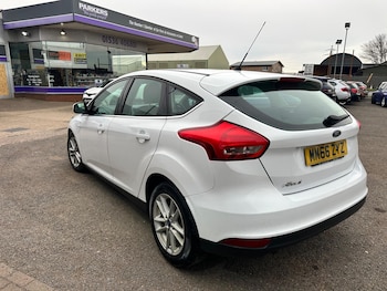 Used Ford Focus 2016 for sale - 78260929: Photo