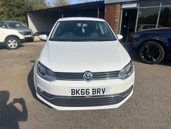 Used Volkswagen Polo 2016 for sale - 79521259: Photo