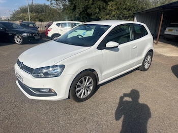 Used Volkswagen Polo 2016 for sale - 79521259: Photo