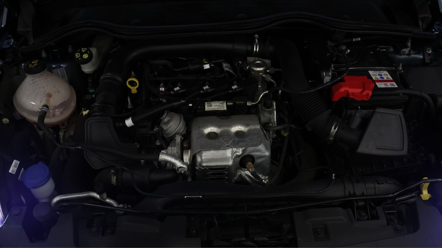 Used Ford Fiesta 2023 for sale - 77463328: Photo 19