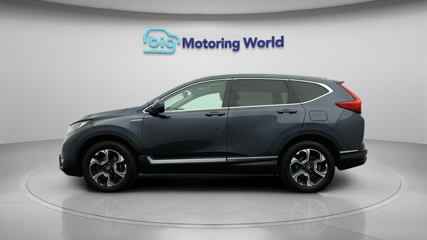 Used Honda CR-V 2019 for sale - 76317834: Photo 5