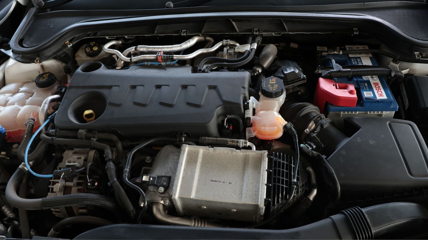 Used Ford Focus 2021 for sale - 77746604: Photo 19