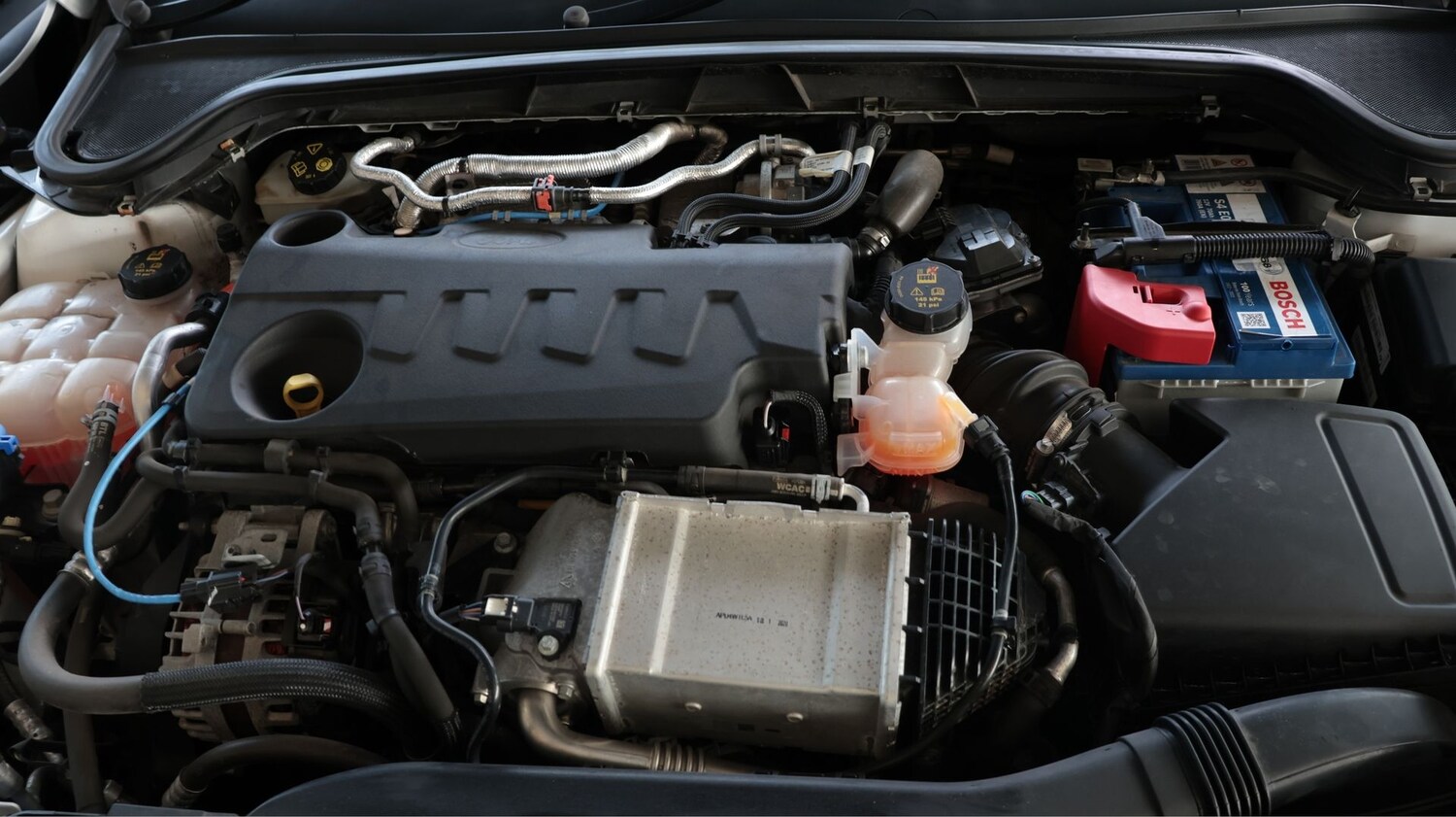 Used Ford Focus 2021 for sale - 77584805: Photo 19