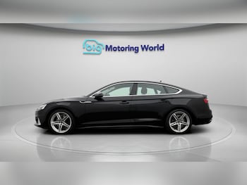 Used Audi A5 2024 for sale - 79175574: Photo