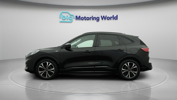 Used Ford Kuga 2020 for sale - 76188987: Photo 5