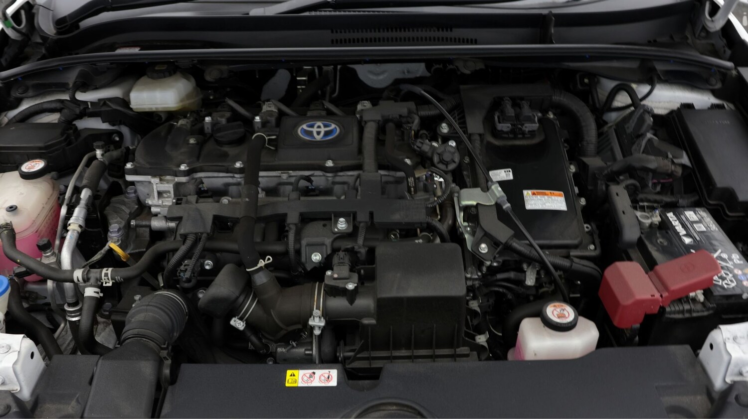 Used Toyota Corolla for sale - 77595133: Photo 19