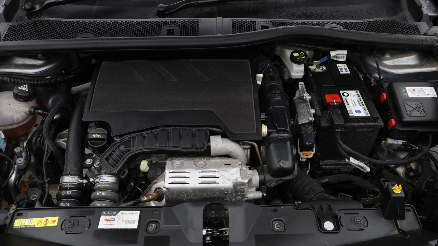 Used Peugeot 2008 2024 for sale - 77351065: Photo 19