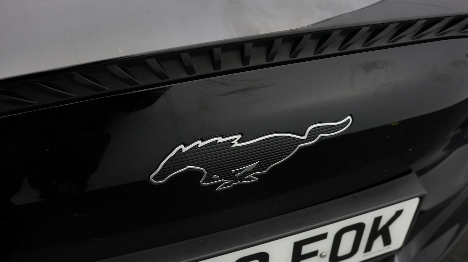 Used Ford Mustang Mach-E 2022 for sale - 77453603: Photo 20