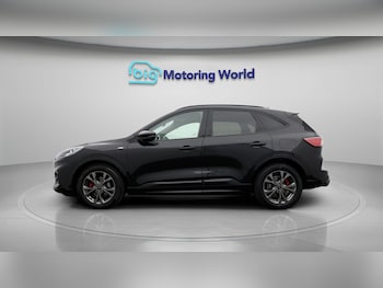 Used Ford Kuga 2022 for sale - 77595131: Photo