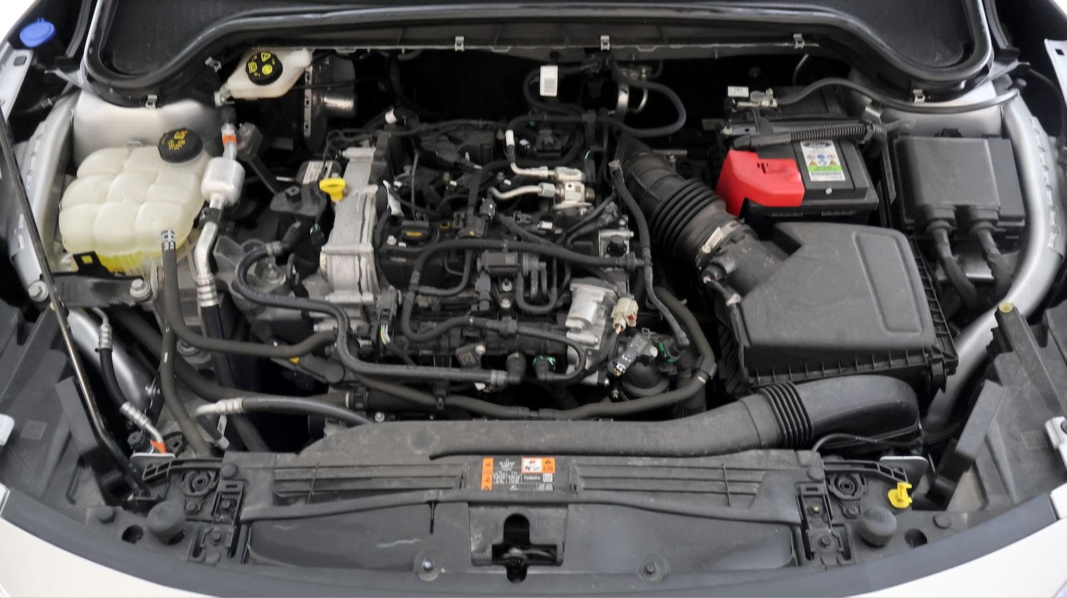 Used Ford Focus 2024 for sale - 77617603: Photo 19