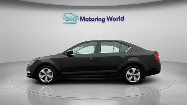 Used Skoda Octavia 2020 for sale - 76270932: Photo 5