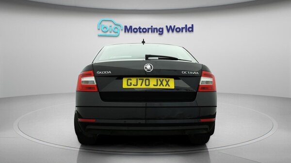 Used Skoda Octavia 2020 for sale - 76270932: Photo 7