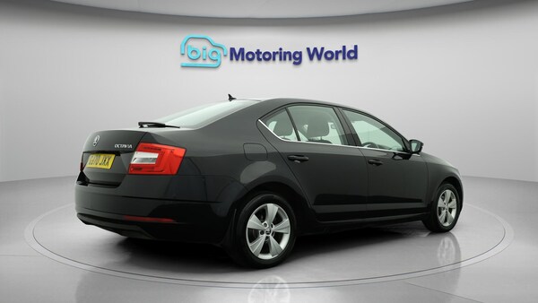 Used Skoda Octavia 2020 for sale - 76270932: Photo 8