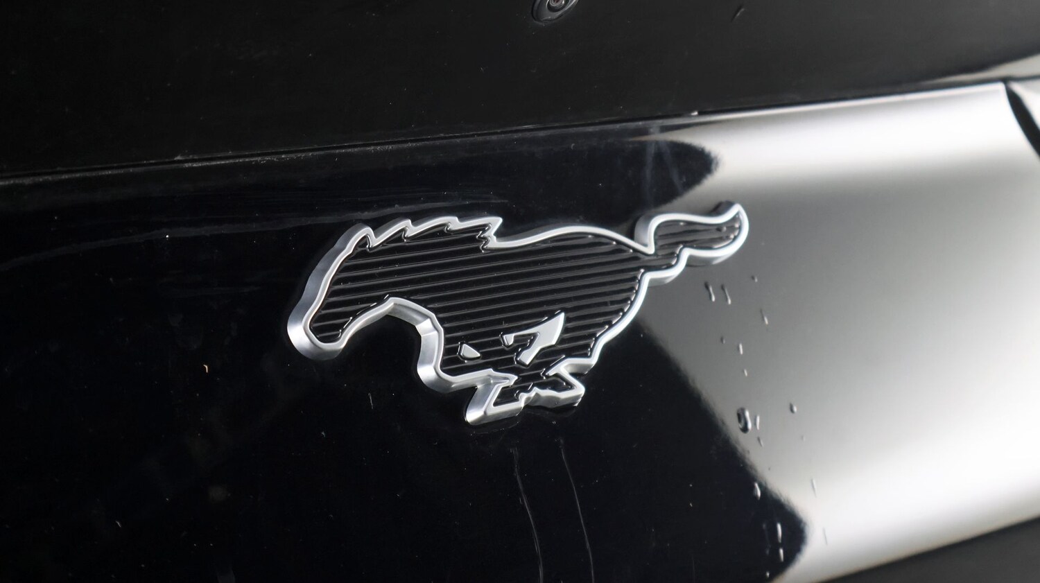 Used Ford Mustang Mach-E 2021 for sale - 77463330: Photo 19