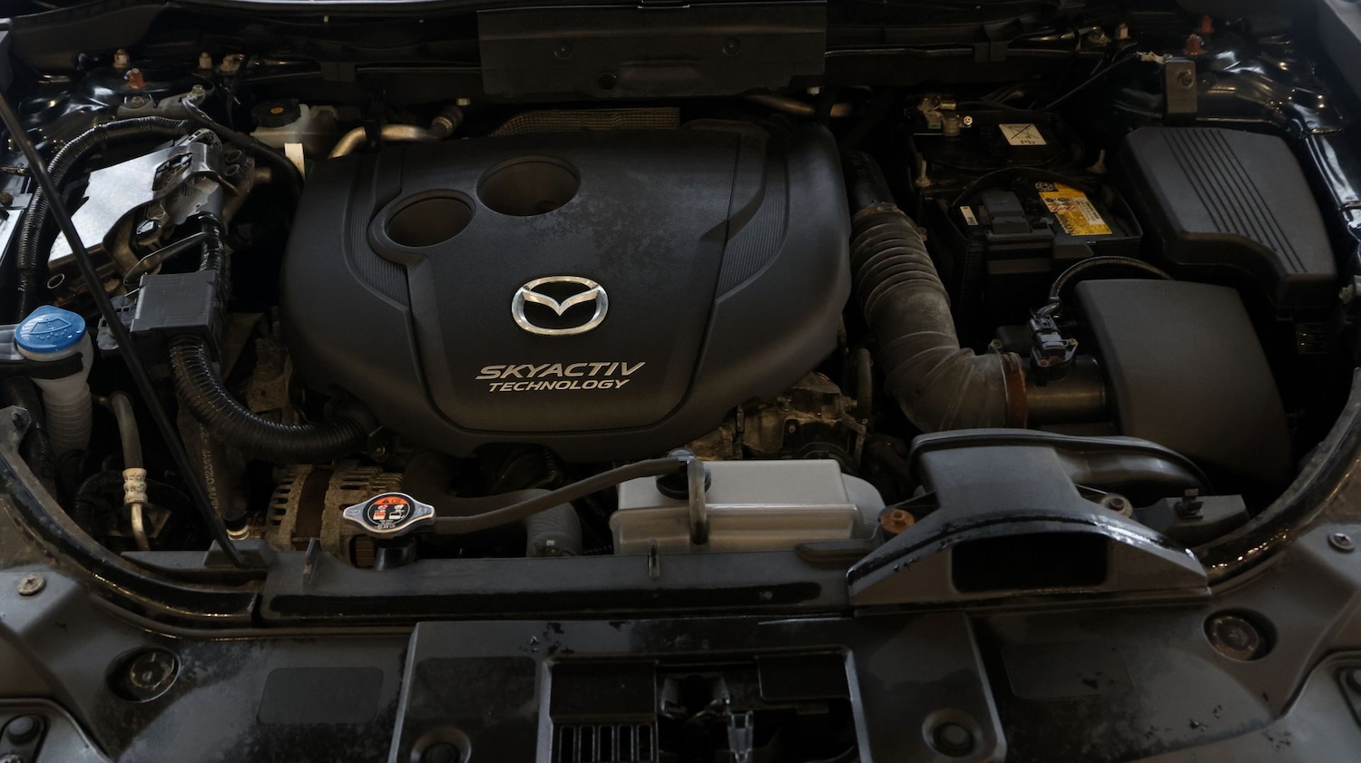 Used Mazda CX-5 2017 for sale - 77403981: Photo 19