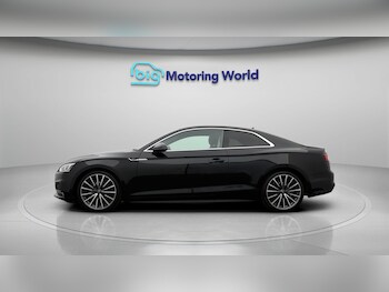 Used Audi A5 2019 for sale - 77971312: Photo