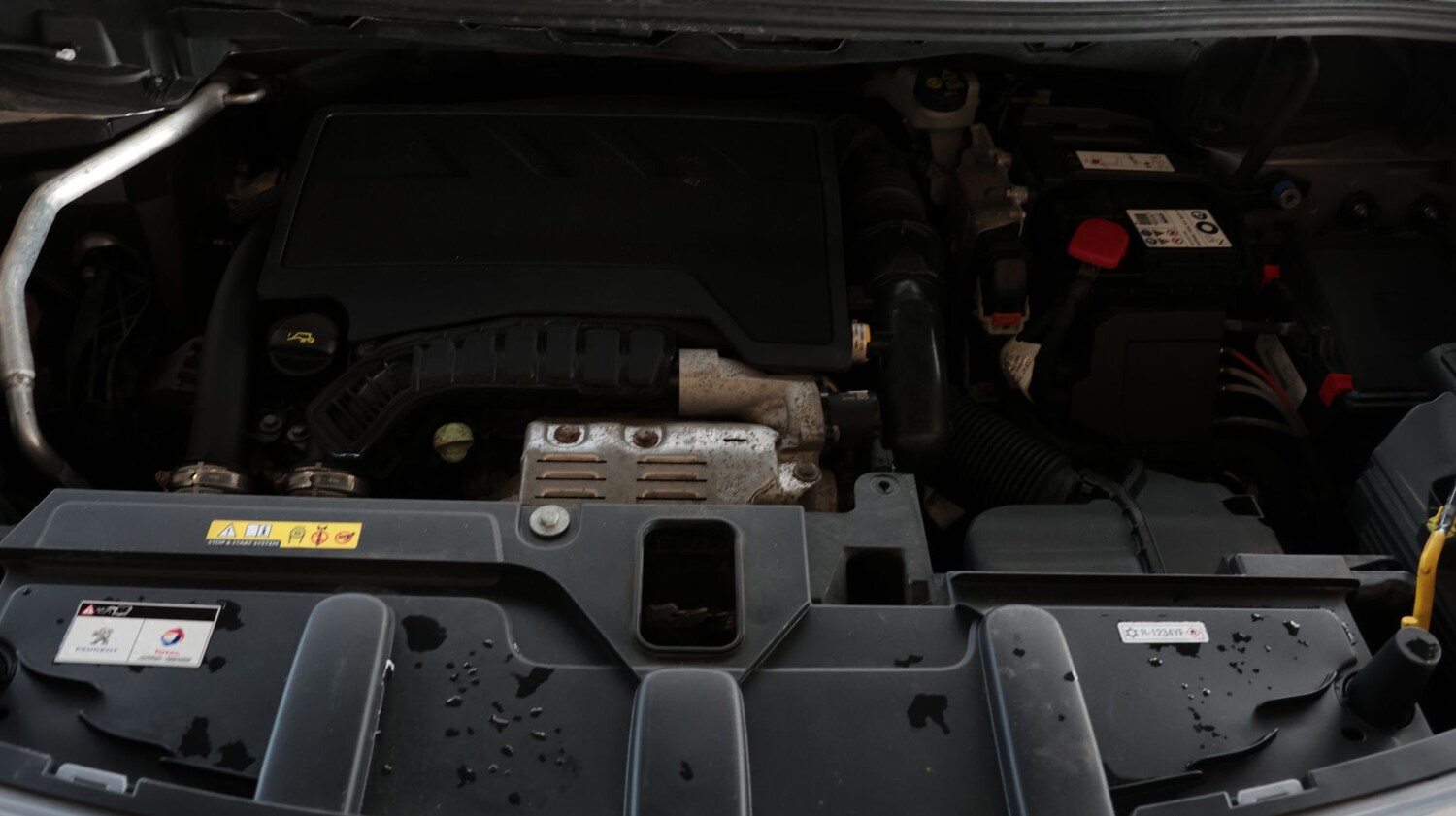 Used Peugeot 3008 for sale - 77676504: Photo 19