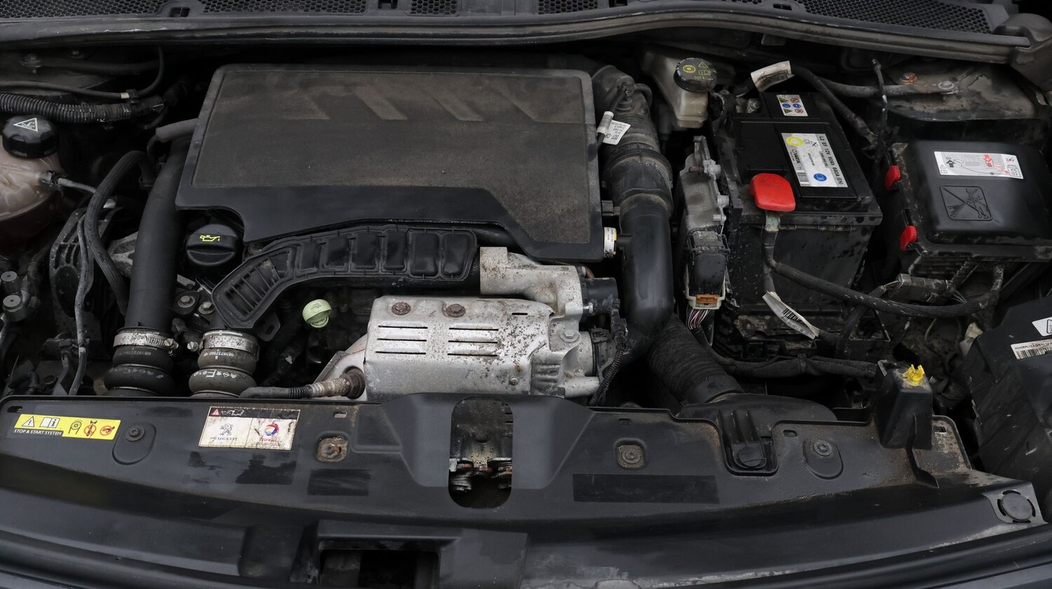 Used Peugeot 2008 2020 for sale - 77403805: Photo 19