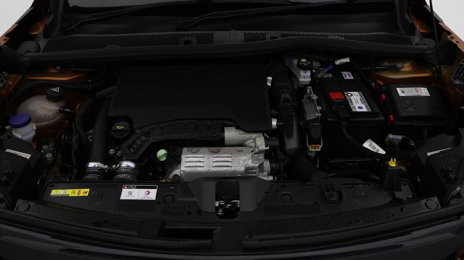 Vehicle 31