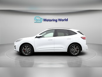 Used Ford Kuga 2020 for sale - 79331620: Photo