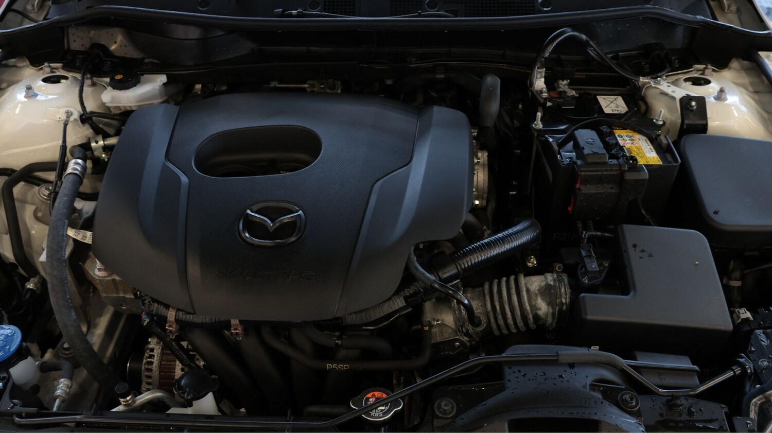 Used Mazda Mazda2 2024 for sale - 77842215: Photo 19