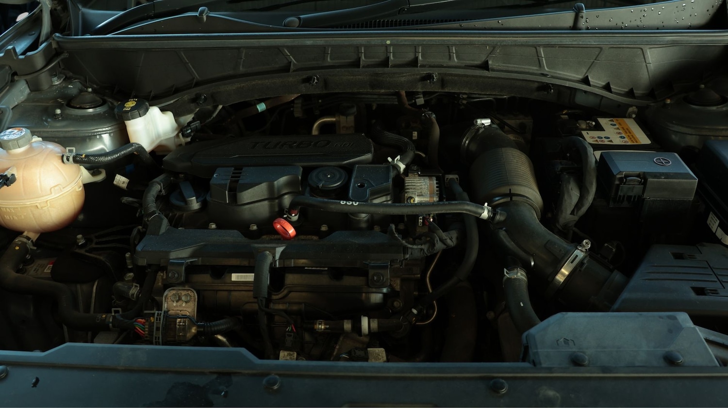 Used Hyundai TUCSON 2022 for sale - 77737003: Photo 19