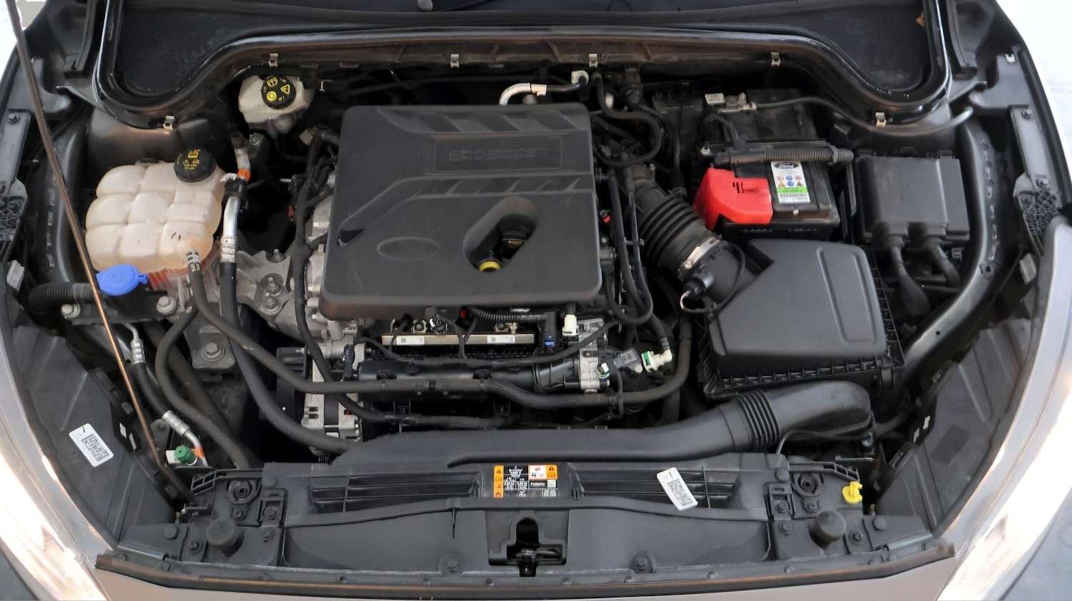 Used Ford Focus 2019 for sale - 78106595: Photo 19