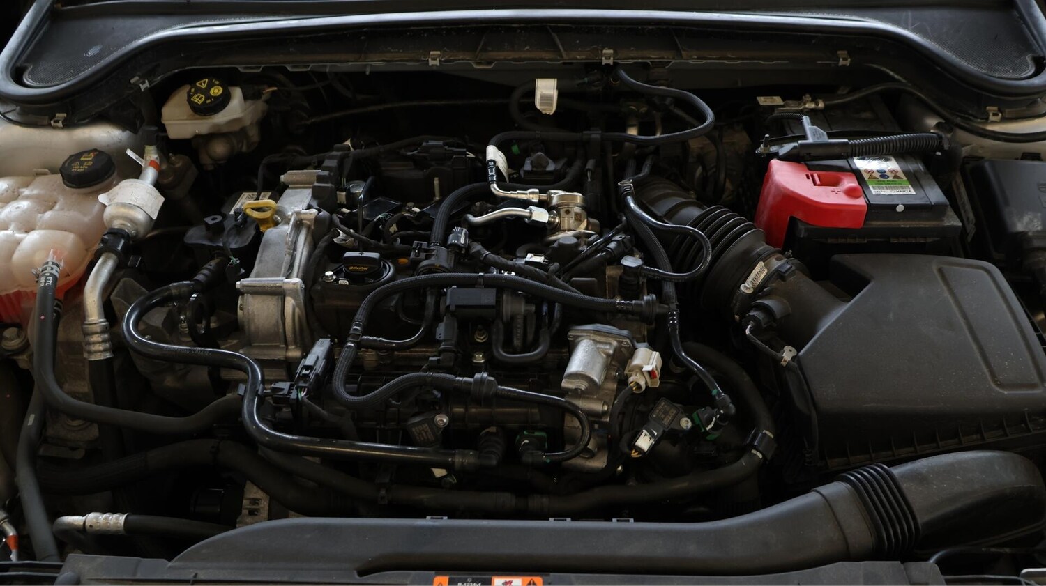 Used Ford Focus 2021 for sale - 76424749: Photo 20