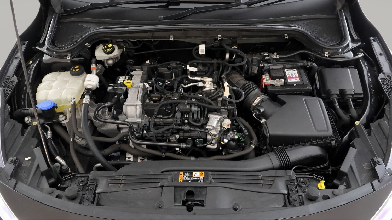 Used Ford Focus 2023 for sale - 78106545: Photo 19