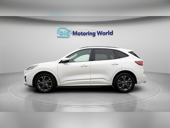 Used Ford Kuga 2023 for sale - 77752790: Photo