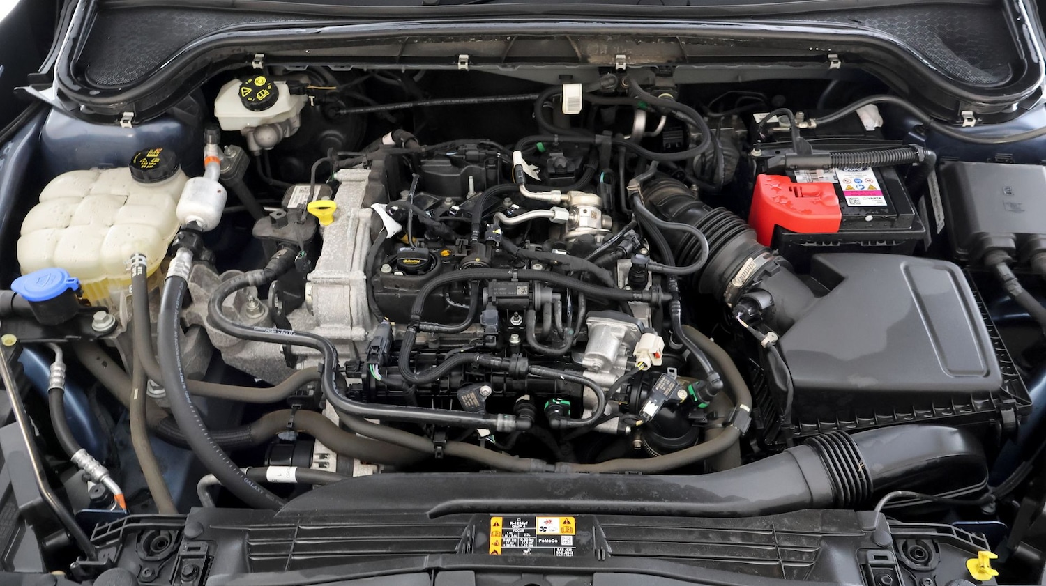 Used Ford Focus 2023 for sale - 78199069: Photo 18