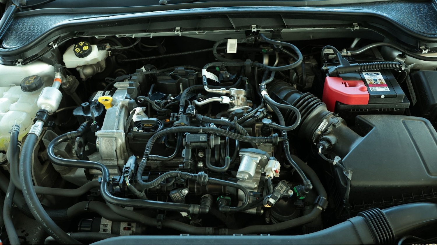 Used Ford Focus 2023 for sale - 78048385: Photo 19