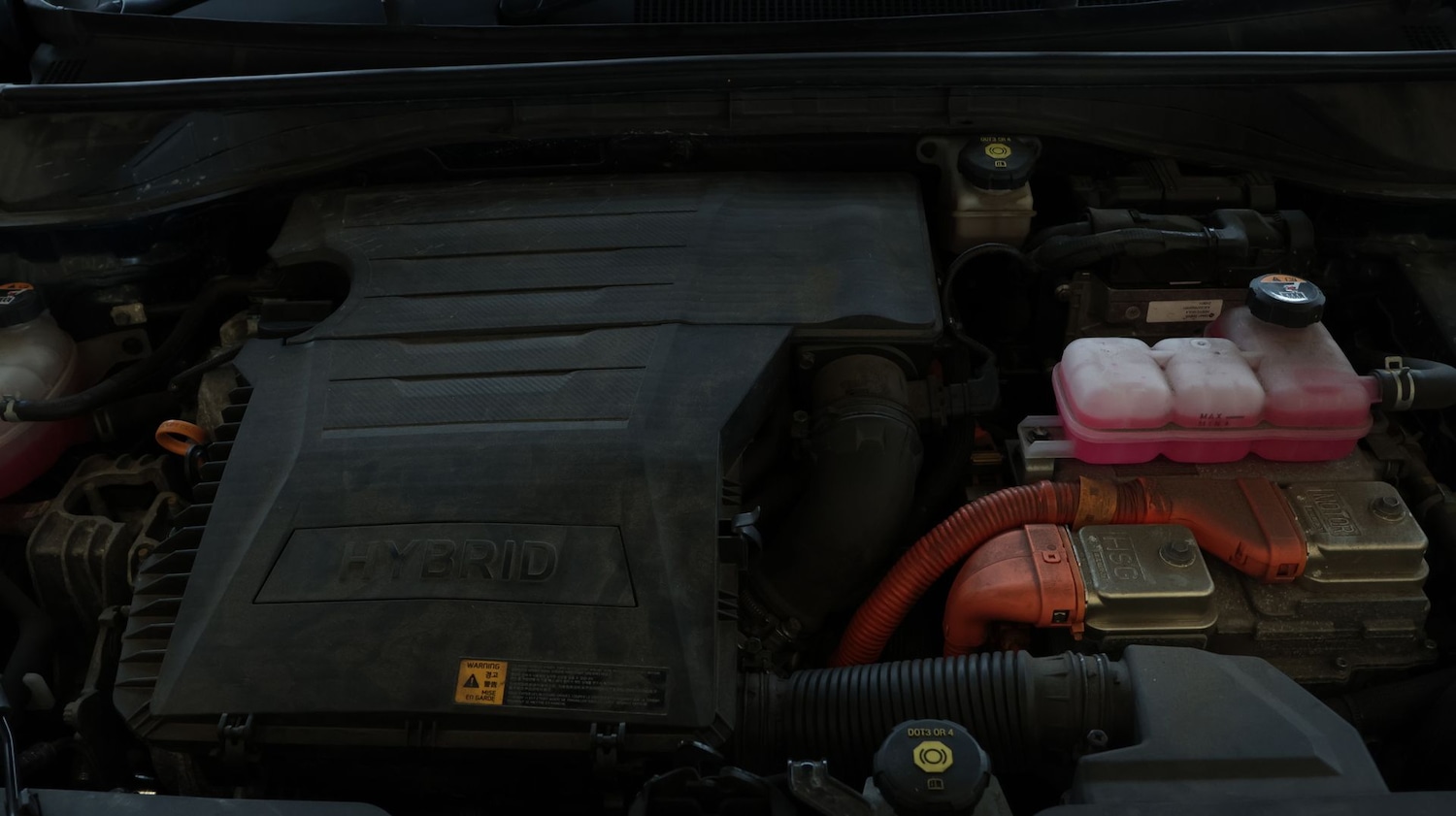 Used Kia Niro 2022 for sale - 77678963: Photo 19