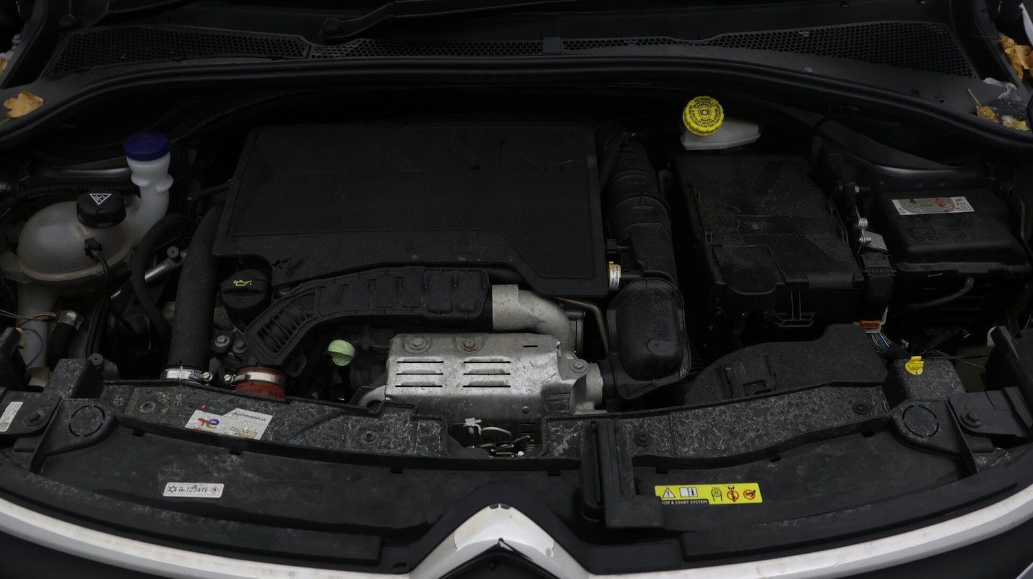 Used Citroen C3 2024 for sale - 76644577: Photo 20