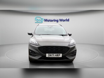 Used Ford Kuga 2021 for sale - 77355045: Photo