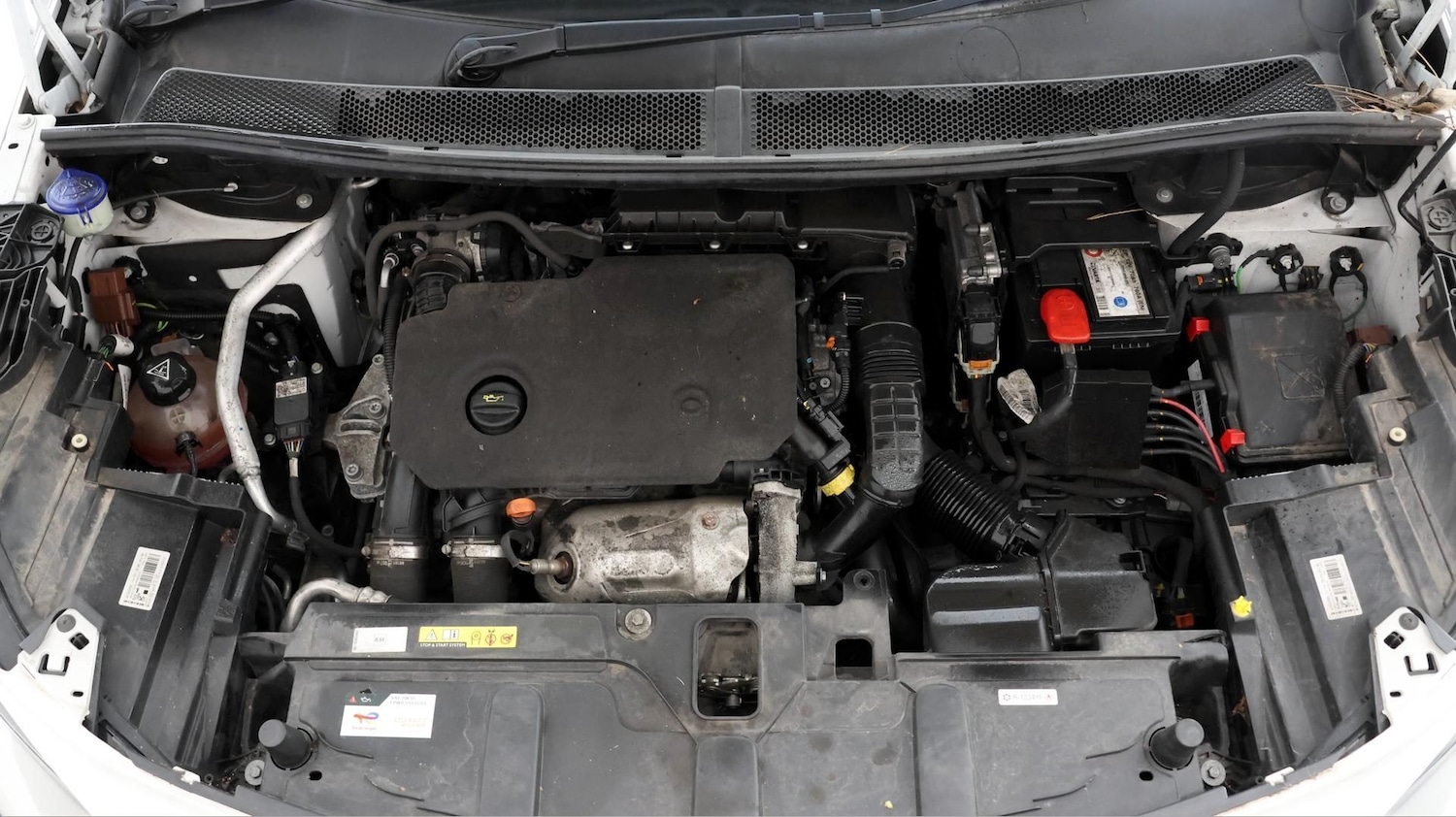 Used Peugeot 5008 2019 for sale - 77181510: Photo 19