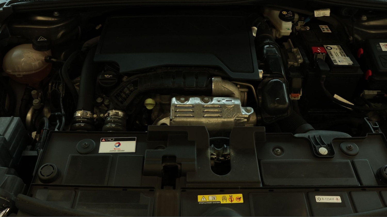 Used Citroen C4 2023 for sale - 77721012: Photo 19