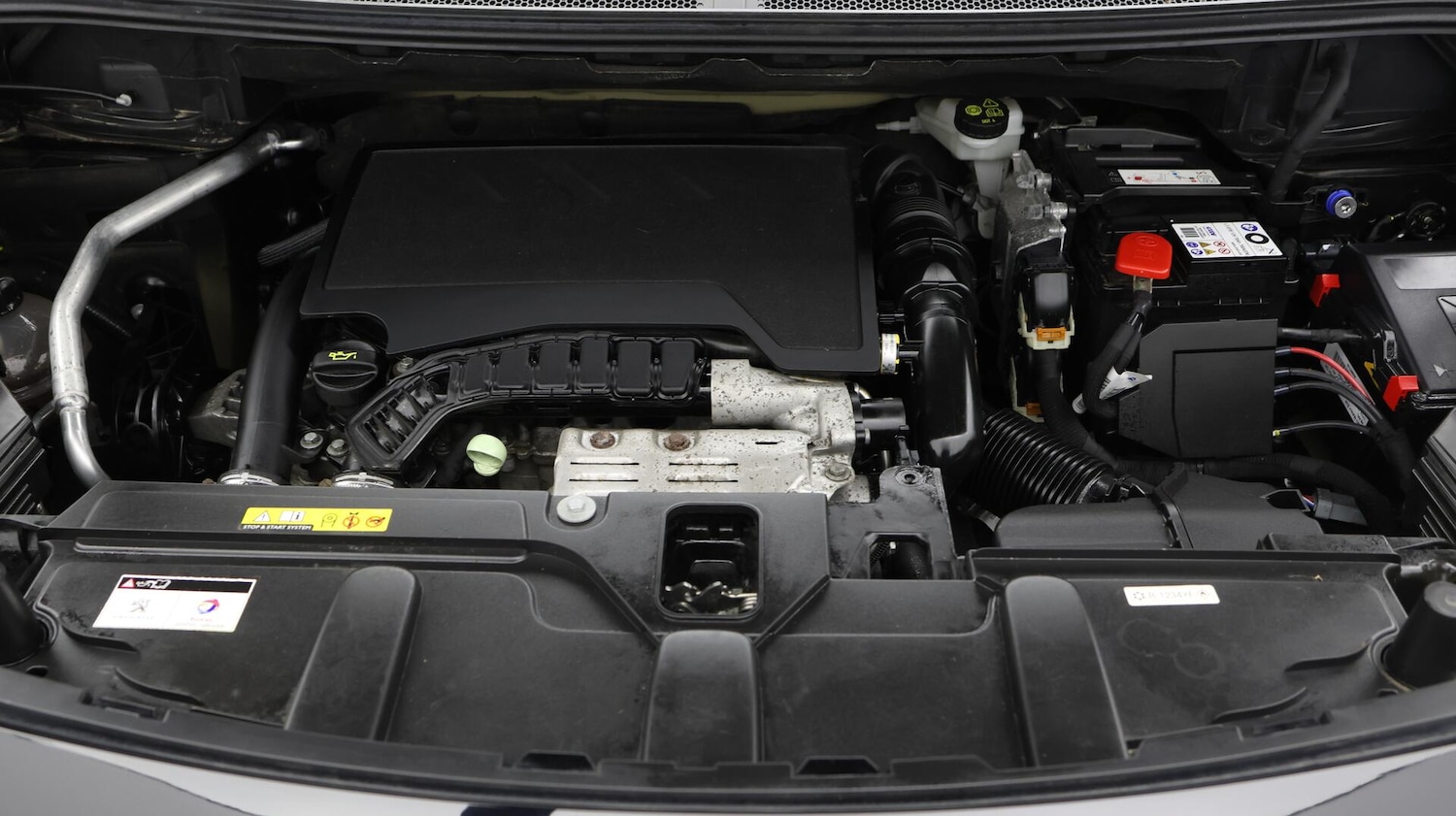 Vehicle 31